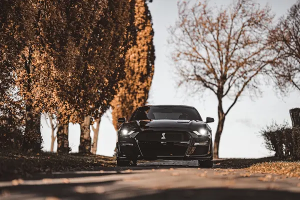 SuperNopea Casino App Android/iOS